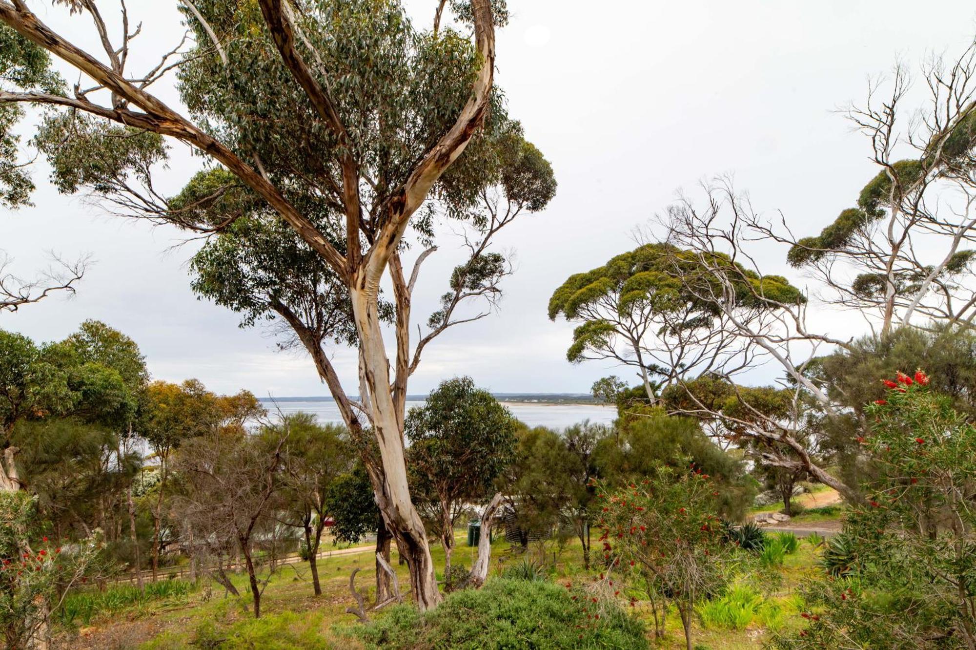 The River Suites, Kangaroo Island American River Kültér fotó